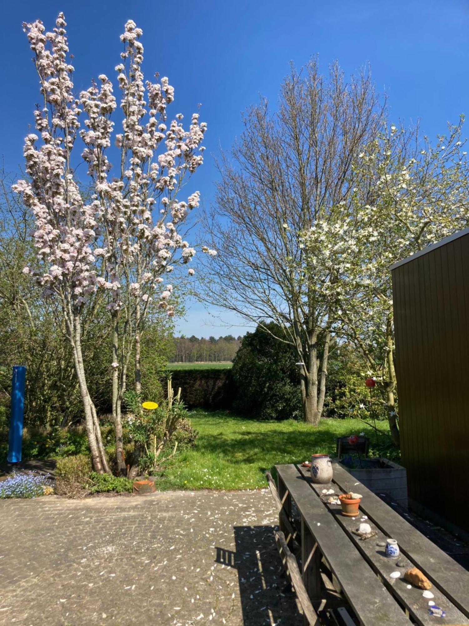 B&B Koornemoezen Zedelgem Zewnętrze zdjęcie