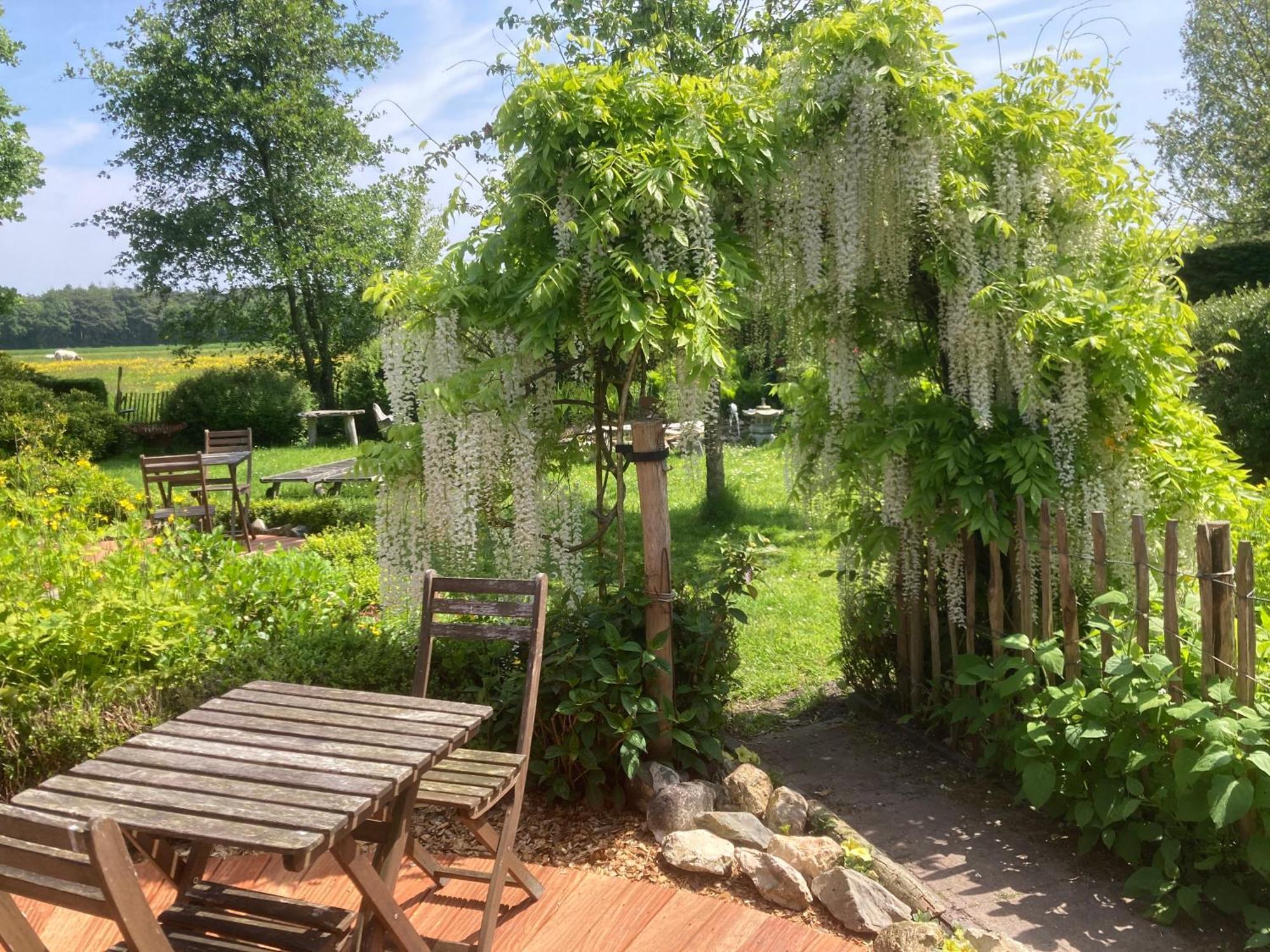 B&B Koornemoezen Zedelgem Zewnętrze zdjęcie