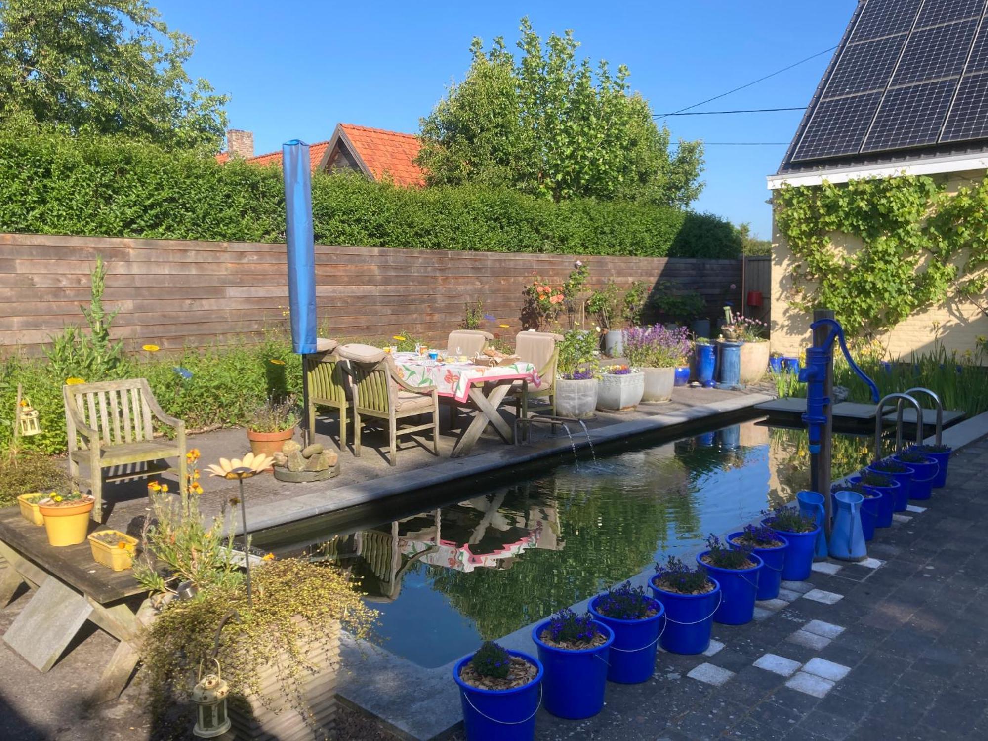 B&B Koornemoezen Zedelgem Zewnętrze zdjęcie